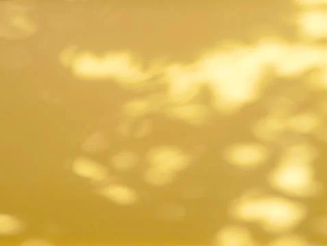 Abstract shadow of leaves on yellow background Stock Photos