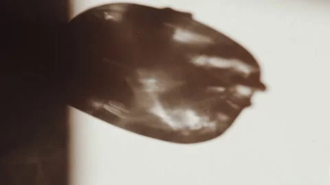 Abstract shadow of a magical glowing crystal on a white wall. Silhouette of Video stock 147209392