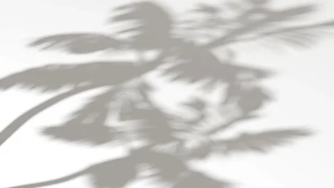 Abstract shadow palm tree on wind sunshine background, looped animation Stock Footage 318904504