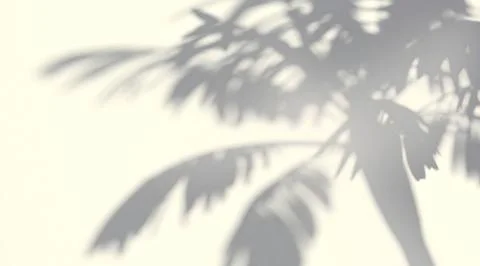 Abstract shadow palm tree on wind sunshine background 스톡 일러스트