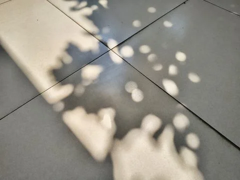 Abstract shadow of tree branches and leaves cast on outdoor tiled floor. 写真素材