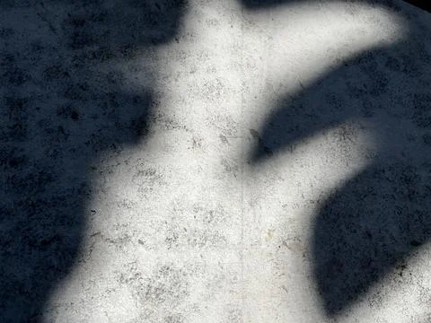Abstract shadow of tree branches cast on a rough stone surface Stock Photos
