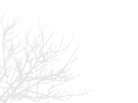 Abstract shadow of tree branches creating a natural overlay effect on trans.. Stock Illustration