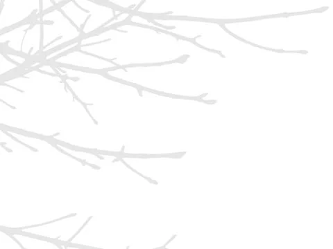 Abstract shadow of tree branches creating a natural overlay effect on trans.. Stock Illustration