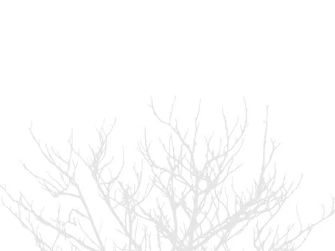 Abstract shadow of tree branches creating a natural overlay effect Stock Illustration