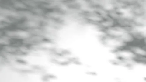 Abstract shadow tree on wind background, boho effect, looped animation Vidéo 320013482