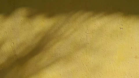 Abstract shadow of trees on yellow or light brown wall separated by commas Stock Footage 296520869