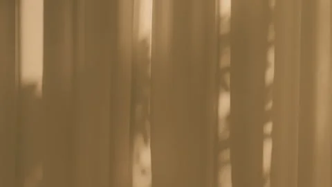 Abstract Shadows of Plants on Light Beige Curtains Stock Footage 312455465