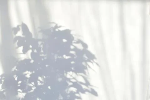 Abstract shadows of plants Stock Photos