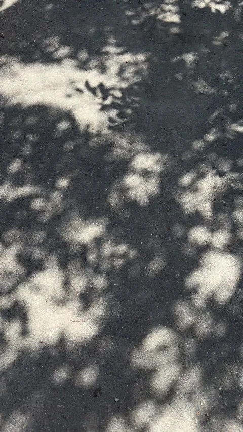 Abstract shadows of tree leaves moving on asphalt ground in sunlight Video stock 336260657