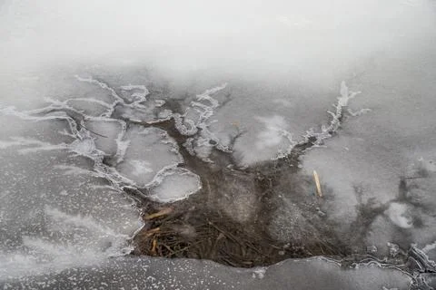 Abstract shape ice formation on a puddle Stock Photos