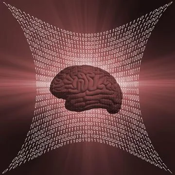 Abstract shaped surface of binary code with human brain on rose background Illustrazione stock