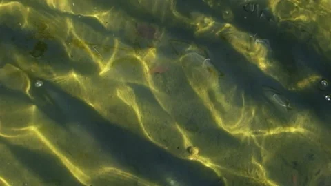 Abstract shapes and patterns of clear water movement Stock Footage 280379153