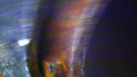 Abstract shapes - blurred loop motion Vídeos de archivo 101636016