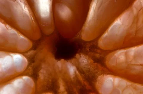 Abstract shapes Stock Photos