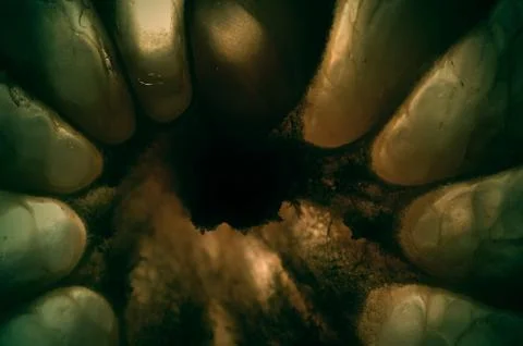 Abstract shapes Stock Photos