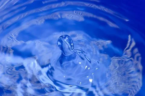 Abstract shapes of water. Image for a background made of water. Stock Photos