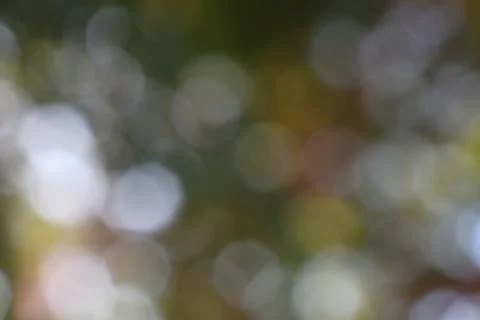 Abstract shimmering light orbs create a mesmerizing blurred natural backgro.. Stock Photos
