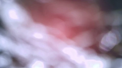Abstract shiny blurred bokeh background. Stock Footage 125753238