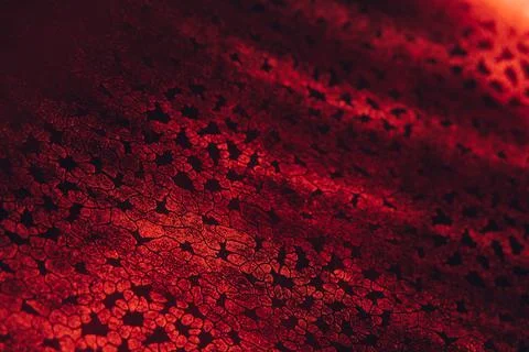 Abstract shiny blurred red background. Textured glittering backdrop Stock Photos