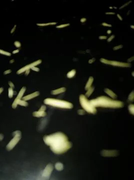 Abstract shiny wallpaper with different elements Stock Photos