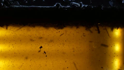 Abstract shot of tiny air bubbles in orange oil like liquid rising to top Stock Footage 265191459
