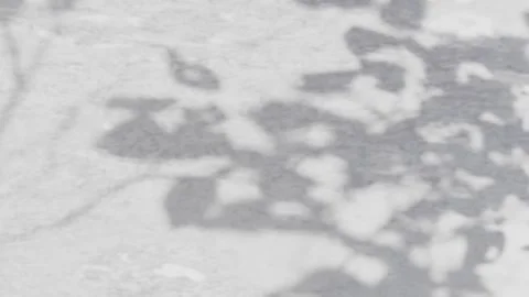 Abstract silhouette overlay shadows grey textured background of natural leaves Stock Footage 278408902