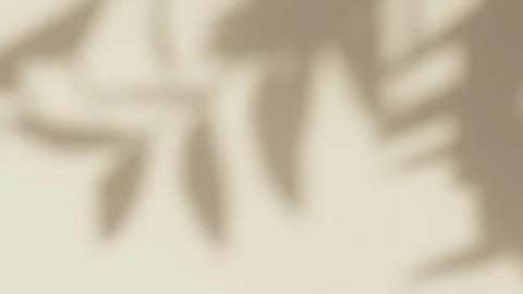 Abstract silhouette overlay shadows white background of natural leaves Vidéo 331438945