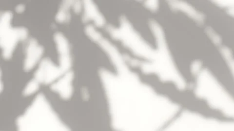 Abstract silhouette overlay shadows white background of natural leaves Vídeo Stock 331439148