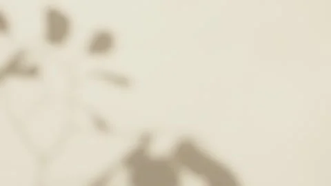 Abstract silhouette overlay shadows white background of natural leaves Vídeo Stock 331439262