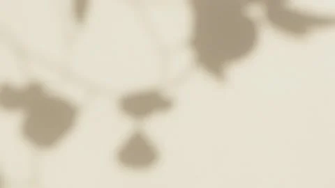 Abstract silhouette overlay shadows white background of leaves Video stock 331439331