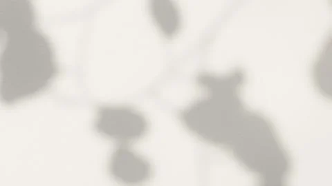 Abstract silhouette overlay shadows white background of natural leaves Видео 331439332