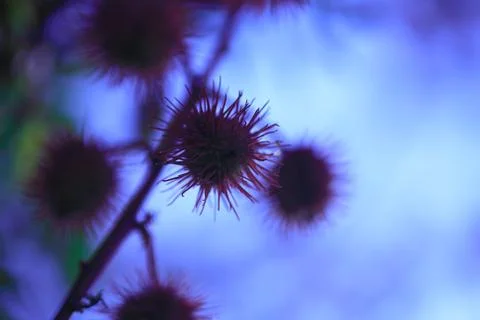 Abstract silhouette Stock Photos