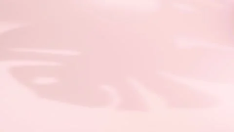 Abstract silhouette shadow of monstera leaf on pink background. Transparent Stock Footage 254513963