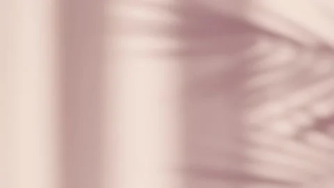 Abstract silhouette shadow pink background of natural leaves tree branch Vídeo Stock 142540922