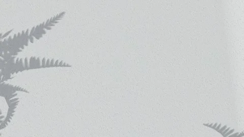 Abstract silhouette shadow white background Video stock 261262560