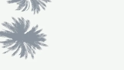 Abstract silhouette shadow white background Stock Footage 261263044