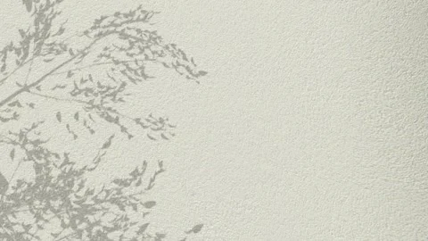 Abstract silhouette shadow white background Stock Footage 261263070