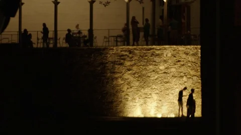 Abstract Silhouettes Stock Footage 77209634