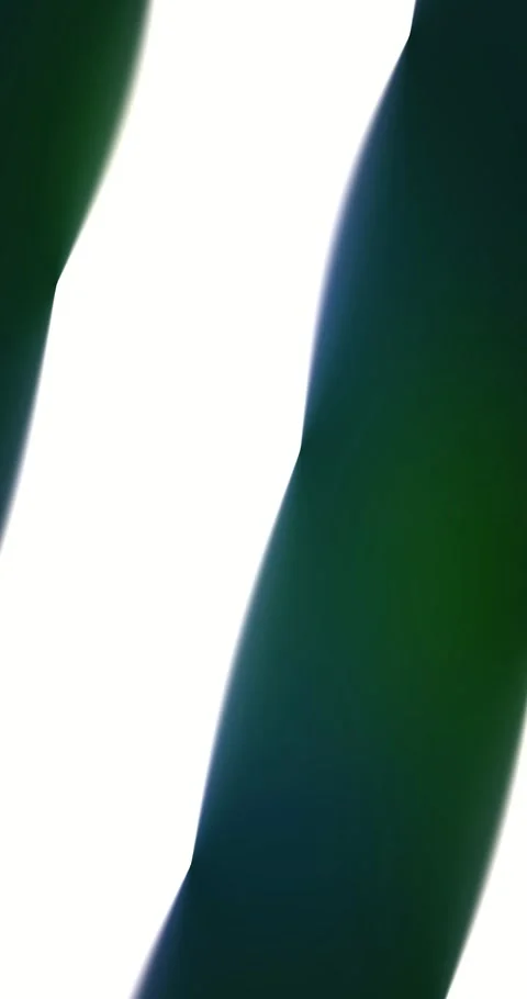 Abstract silk gradient animated background with forest deep colors Stock Footage 331205085