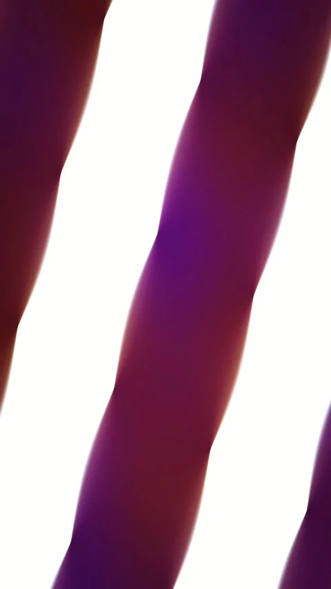 Abstract silk gradient animated background with purple mid colors Stock Footage 331673666