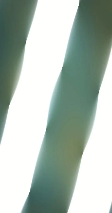 Abstract silk gradient animated background with lime soft colors Stock Footage 331953288