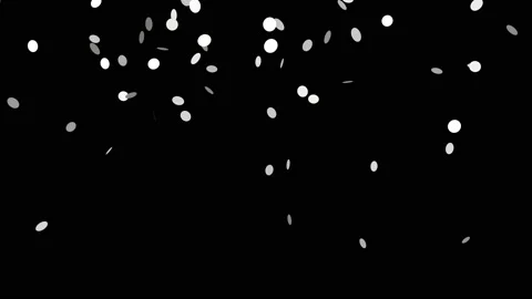 Abstract silver  particles with flares are on a black background Stock Footage 150500636