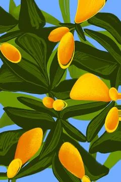 Abstract simple oranges hand drawn illustration Stock Illustration