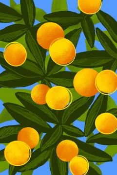Abstract simple oranges hand drawn illustration Stock Illustration