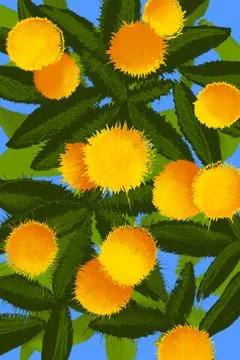 Abstract simple oranges ornament hand drawn illustration Stock Illustration