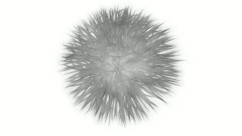 Abstract Sketch Shapes Random Creative Line Art Stock Footage 325281846