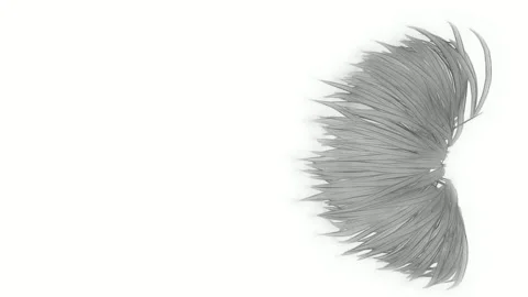 Abstract Sketch Shapes Random Creative Line Art Stock Footage 325281857