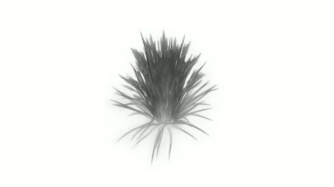 Abstract Sketch Shapes Random Creative Line Art Stock Footage 325281865