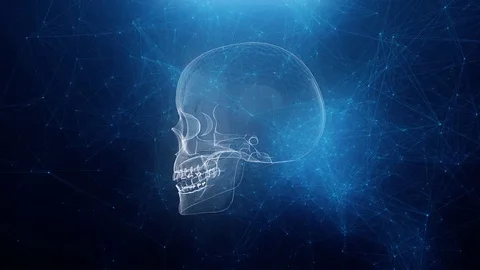 Abstract skull animation with blue plexus background Stock Footage 77189749